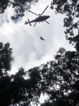 來自新竹原住民父子遠赴阿里山鄉山區打獵 父親身體不適 竹崎分局申請空勤直升機吊掛急送醫