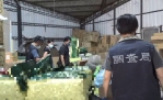 檢調衛等單位查獲「越南茶混充台灣茶」製茶倉庫。（照片檢方提供）