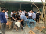 興大USR浪愛無國界計畫越南傳授經驗  提升跨國動物福祉