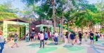 最夯孩童放電公園  中市豐富公園樹屋遊戲場大受好評