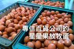 樸實構果｜印加果產業拓展新版圖，星星果放牧蛋，獲得遠東集團頂級超市City’Super青睞，已經上架到全台灣八間門市！