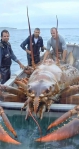 網傳《漁民捕獲世界上最大的龍蝦》｜MyGoPen（麥擱騙）網站：AI生成圖像，內容為虛構！