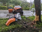 自撞路樹｜車頭全毀、女駕駛送醫，樹被扒了一層皮，新城警調查！