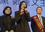 鄭麗文出席高雄雲林同鄉會活動籲挺柯志恩、張嘉郡