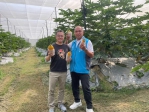 從金融戰場到木瓜農場  農糧署輔導  胡克強青木堂果菜生產合作社  全國首發取得木瓜TGAP PLUS集團驗證團體之一