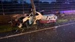 車體嚴重變形｜28歲駕駛壽豐猛撞路樹，命危搶救中！