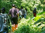 大葉環教中心帶領設計學院同學進入石牌社區進行生態踏查。（照片大葉提供）