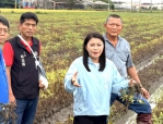 豪雨重創雲林花生 立委張嘉郡要求提早採收卻無法曬乾腐爛花生 一併納入從速、從寬、從簡補助 農業部公告每公頃救助3.6萬！