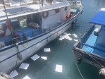 富岡港區發現油污|海巡即時應變防止擴散