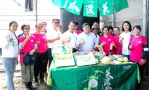 嘉義縣第9屆「一季園主」開訓 縣長翁章梁等人攜手6位園主種下瓜苗 正式展開精緻農業田間實作課程