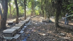 連續乾旱造成缺蜜農業部天然災害救助每群550元