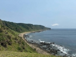 踩國家公園未開放禁地遭虎頭蜂圍攻釀2死1重傷