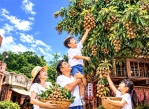暑假倒數計時! 台南白河「台灣萬里長城」龍眼盛產免費採摘 穿古裝、賞山景 掀起暑期最後瘋遊熱潮!