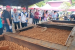 中寮龍眼文化季熱鬧登場 傳統起灶飄香行銷在地優質農產(圖3縣府提供)